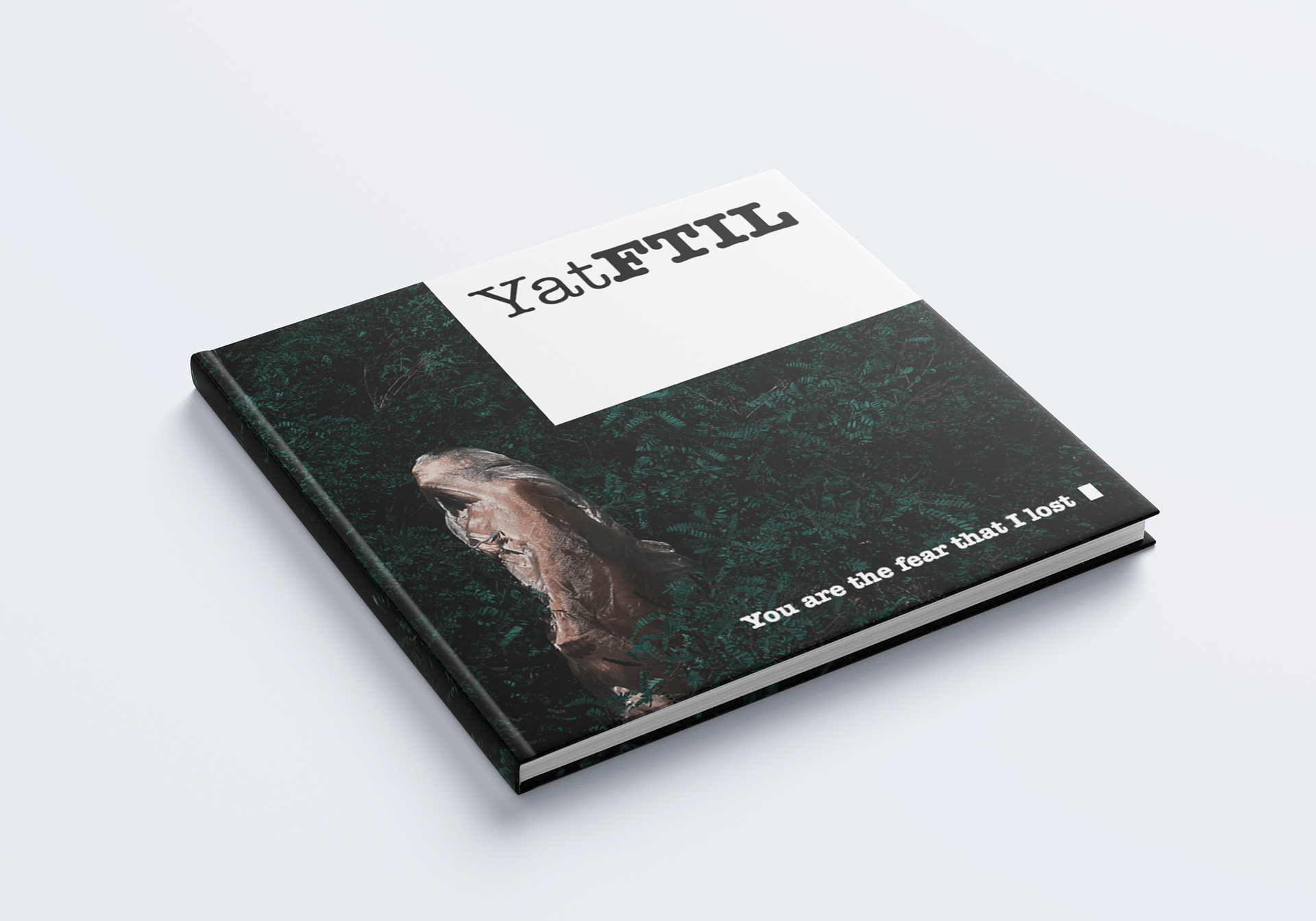 Book for photographer, shows the book layout and branding development